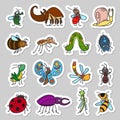 Cute insects and bugs stickers set Royalty Free Stock Photo