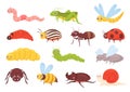 Cute insects set, colorful funny insects, grasshopper dragonfly worm spider fly ladybug