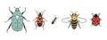 Cute insects in vintage cartoon style. Firebug, ant, flower chafer, honey bee, ladybug isolated on white background Royalty Free Stock Photo