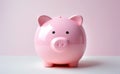 Cute intact pink piggy bank frontal closeup