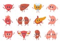 Cute internal organ with funny faces. Heart, stomach, liver, kidney, lung, brain, bladder, uterus. Cartoon healthy human