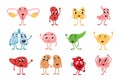 Cute internal organs. Funny lungs, liver and brain, stomach and heart in love. Childish book organ character, adorable