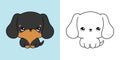 Cute Isolated Dachshund Dog Illustration and For Coloring Page. Cartoon Clip Art Puppy. Cartoon Vector Illustration of