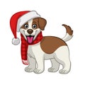 Cute Jack Russel Puppy of Christmas Royalty Free Stock Photo