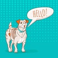 Cute Jack Russel Terrier dog saying HELLO to you
