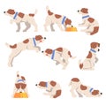 Cute Jack Russell Terrier Activity Set, Friendly Pet Animal in Various Poses Cartoon Vector Illustration Royalty Free Stock Photo