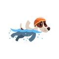 Cute jack russell terrier athlete swimming in pool, funny sportive pet dog character doing sports vector Illustration on