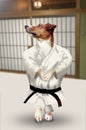 Cute Jack Russell Terrier dog doing the karate kata Royalty Free Stock Photo