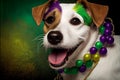 Cute dog dressed up in costume for Mardi Gras