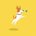 Cute jack russell terrier playing with ball, funny pet animal character cartoon vector Illustration