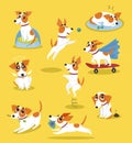 Cute jack russell terrier set, funny pet dog character in different situations cartoon vector Illustrations Royalty Free Stock Photo