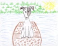 Cute jack russell terrior dog drawing