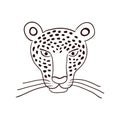 Cute jaguar face hand drawn illustration, sketch. Royalty Free Stock Photo