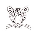 Cute jaguar face hand drawn illustration, sketch.