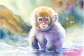 Snow monkey in water