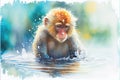 Japanese snow monkey