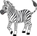 Cute joyful zebra