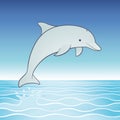 Cute Jumping Dolphin Royalty Free Stock Photo