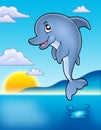 Cute jumping dolphin with sunset