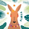 Cute kangaroo in summer