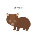 Cute Kawaii Australian wombat, isolated on white background. Can be used for cards for preschool children games, learning words.