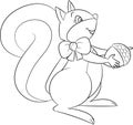 Cute Kawaii black and white squirrel with acorn, in contour, perfect for children`s coloring book