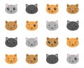 cute kawaii cats color flat vector illustrations