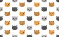 cute kawaii cats color seamless pattern on white background.