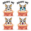 Cute Kawaii dog puppy tricolor pembroke welsh corgi adoption Mascot Cartoon Design Illustration Character vector art isolated on Royalty Free Stock Photo