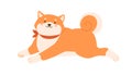 Cute kawaii dog of Shiba Inu breed running. Happy smiling Akita puppy. Sweet pet with smiley muzzle. Colored flat vector