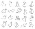 Cute kawaii goose. Coloring Page