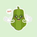 Cute and kawaii Green Chayote Cartoon Character. can be used in restaurant menu, cooking books and organic farm label. Healthy