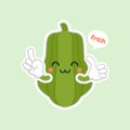 Cute and kawaii Green Chayote Cartoon Character. can be used in restaurant menu, cooking books and organic farm label. Healthy