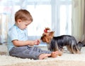 Cute kid boy feeding pet dog york Royalty Free Stock Photo