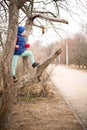 Cute kid boy sitting on the big tree in the park on a spring day. Child climbing the tree in the city garden. Active boy walking. Royalty Free Stock Photo