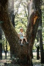 Cute kid boy sitting on the big tree in the park on a spring or summer day. Child climbing the tree in the city garden Royalty Free Stock Photo
