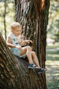 Little boy sits on a branch of a big tree. Child`s games. Active family time on nature. Hiking with little kids Royalty Free Stock Photo