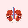 Cute kidneys funny human internal organs sticker vector illustration