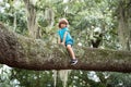 Cute kids boy climbing on the tree. Child sitting on big branch. Health care insurance concept for family and children Royalty Free Stock Photo