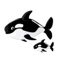 Cute Killer whale cartoon illustration Royalty Free Stock Photo