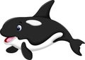 Cute killer whale cartoon Royalty Free Stock Photo