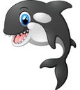 Cute killer whale cartoon Royalty Free Stock Photo