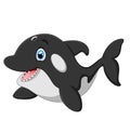 Cute killer whale cartoon Royalty Free Stock Photo