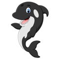 Cute killer whale cartoon Royalty Free Stock Photo