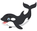Cute killer whale cartoon Royalty Free Stock Photo