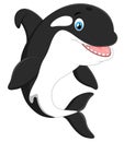 Cute killer whale cartoon Royalty Free Stock Photo