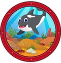 Cute killer whale cartoon Royalty Free Stock Photo