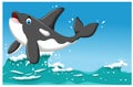 Cute killer whale cartoon jumping with sea life background Royalty Free Stock Photo