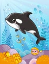 Cute killer whale in cartoon style. Aquatic art