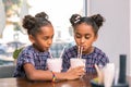 Cute kind-hearted sisters sharing their milk cocktails with each other